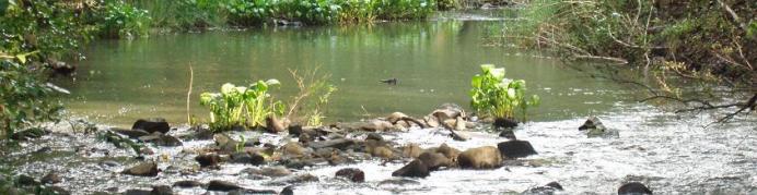 Magalies River