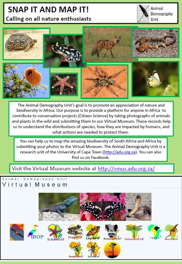 VM_Poster