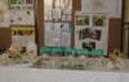 http://www.conservancies.org/Images/Yebo%20Sculs%202008_small.JPG