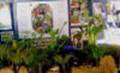 http://www.conservancies.org/Images/Yebo%202011/Yebo1_small.JPG