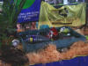 http://www.conservancies.org/Images/Yebo%202011/Yebo5_small.JPG