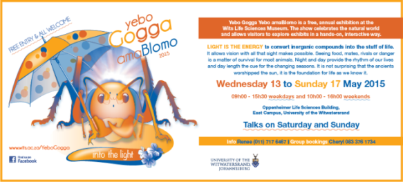 Yebo_gogga_2015